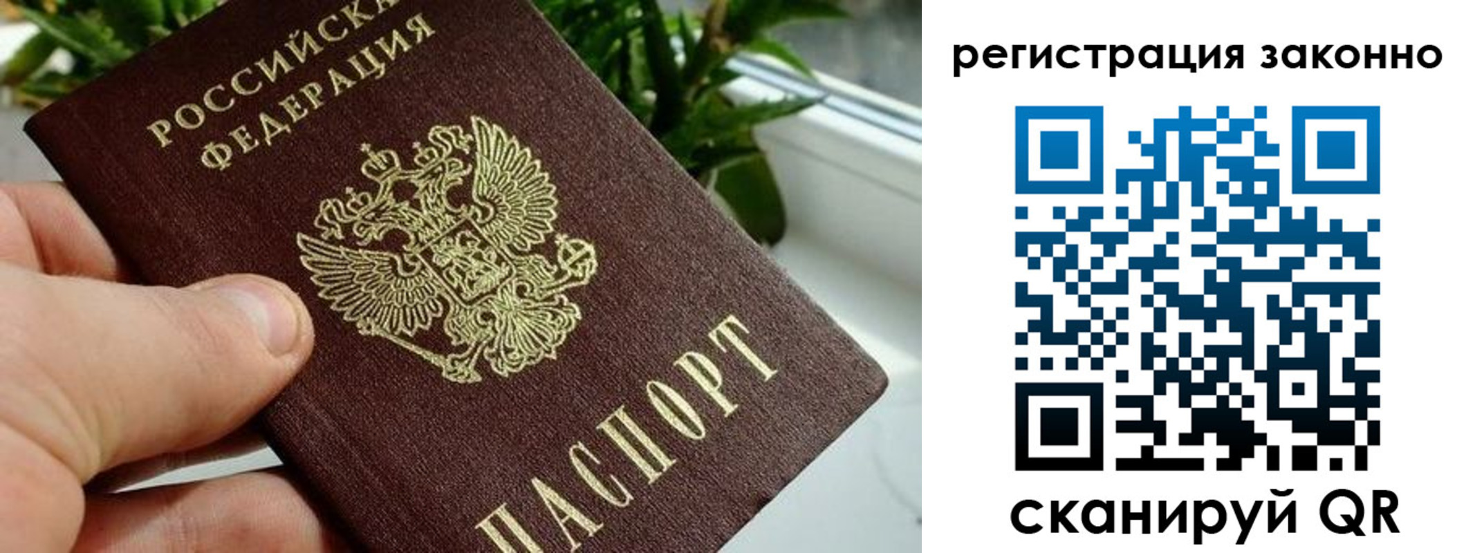 прописка гарантия в Сосновом Бору